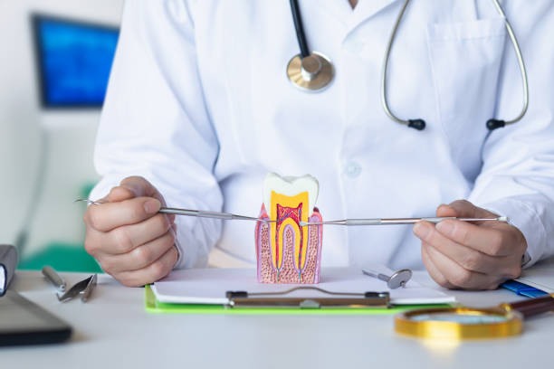 Best Weekend Emergency Dentist in Brockport, NY